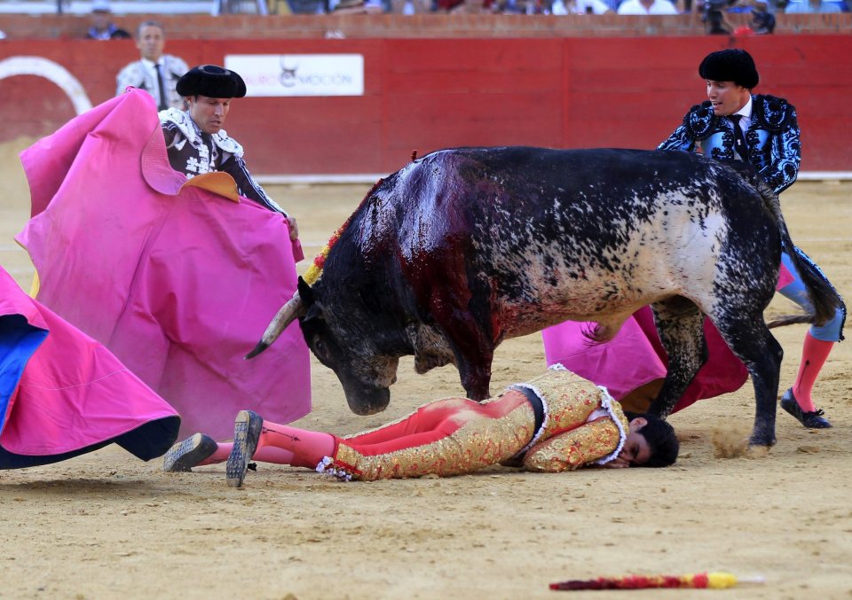 Bullfighter dies at Feria del Angel