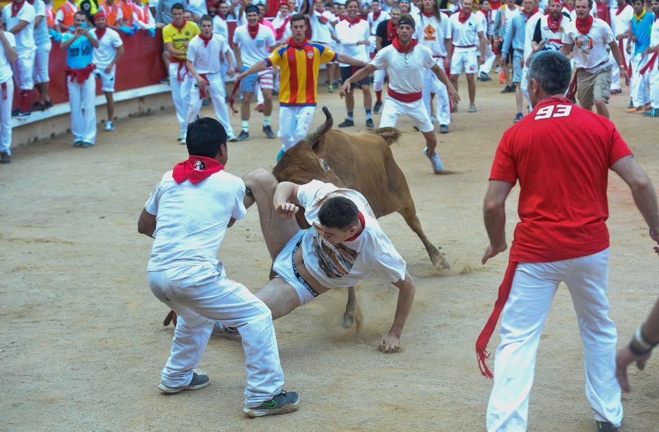  Ouch . . . A young bull thrusts it horns at a reveller, sending him crashing to the floor