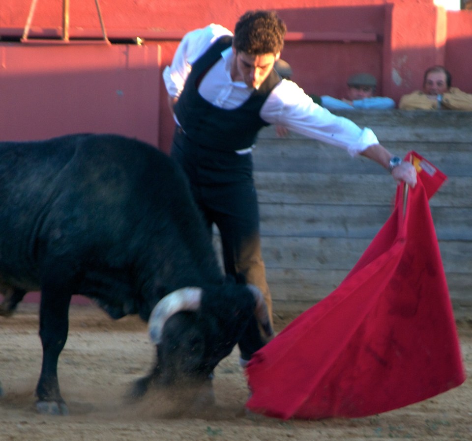 Alexander trained to be a matador as research for a book about the controversial sport