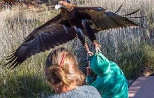 Terrifying moment massive EAGLE swoops down and tries to drag boy, 7, off to its lair