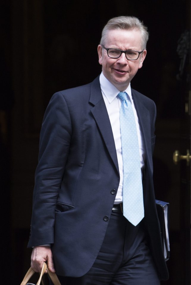 Michael Gove