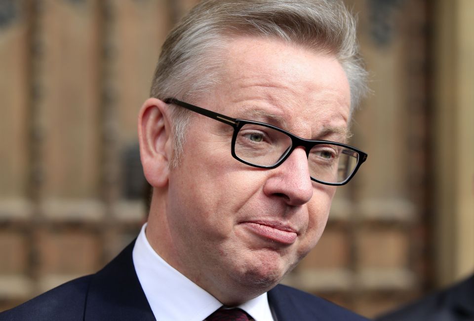 Conservative leadership bid