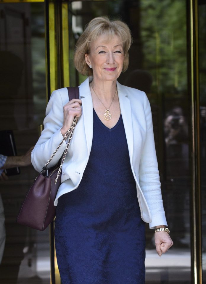 Andrea Leadsom