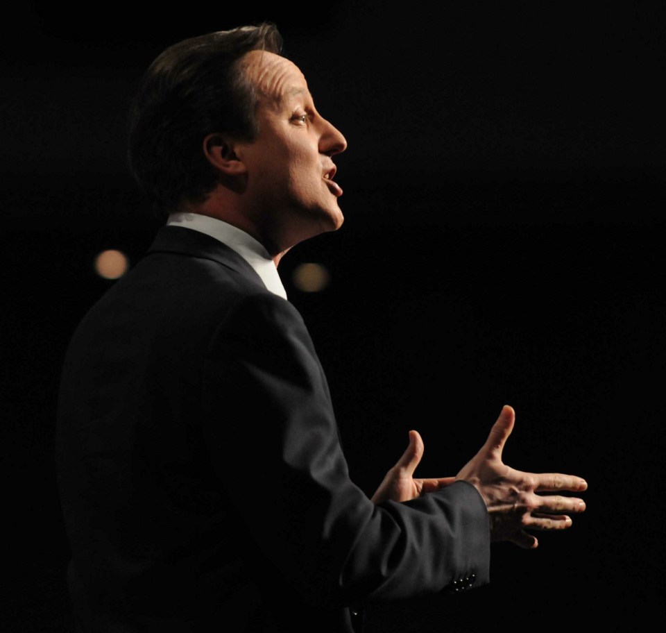 Was the real Cameron the man who just wanted the best for his country...