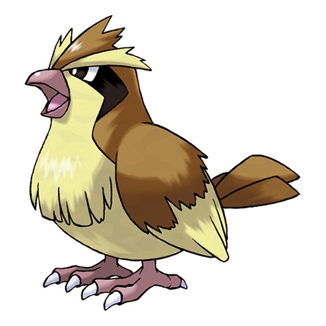 PIDGEY, #16, Normal/Flying. Often found very early and are frequently a trainer’s first catch.