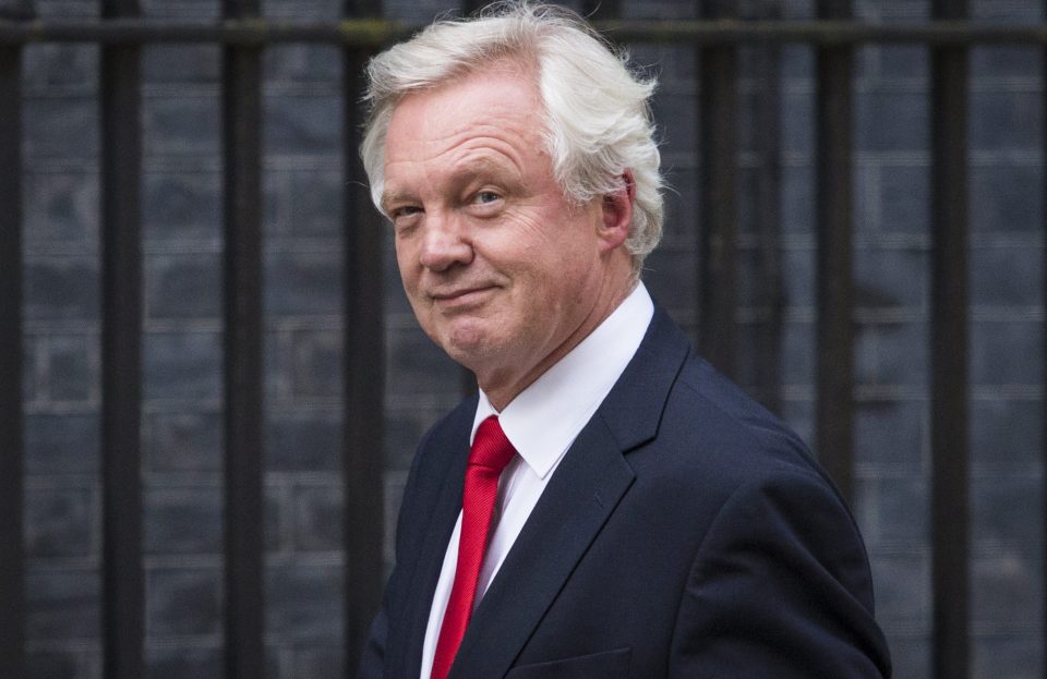 David Davis looks smug as he arrives at No10 on Wednesday night to accept his promotion into May's Cabinet