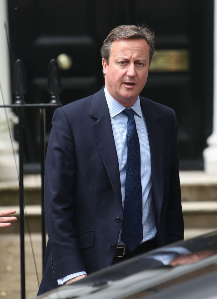 David Cameron 
