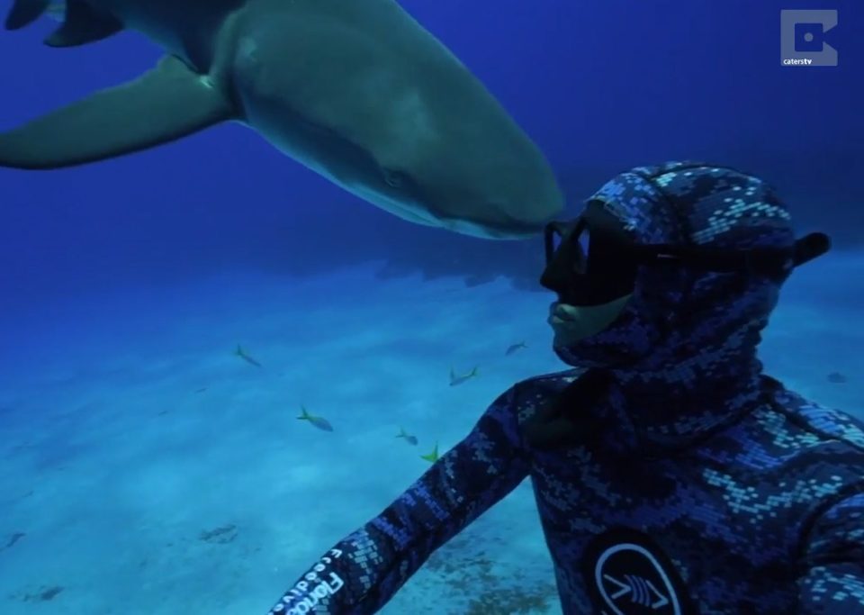 Shark Bahamas, scuba diver