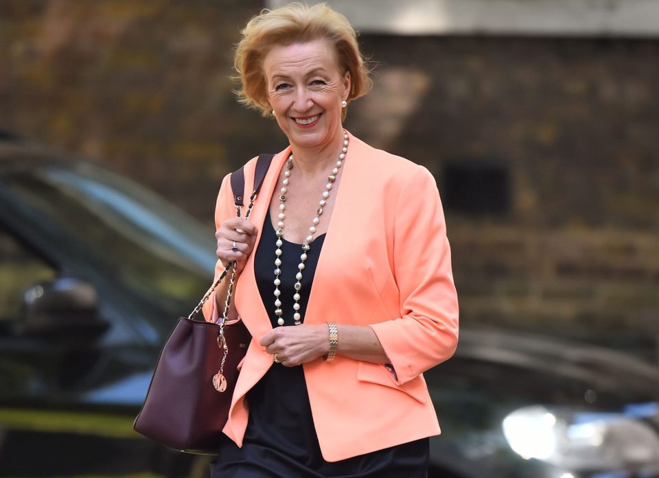 Andrea Leadsom