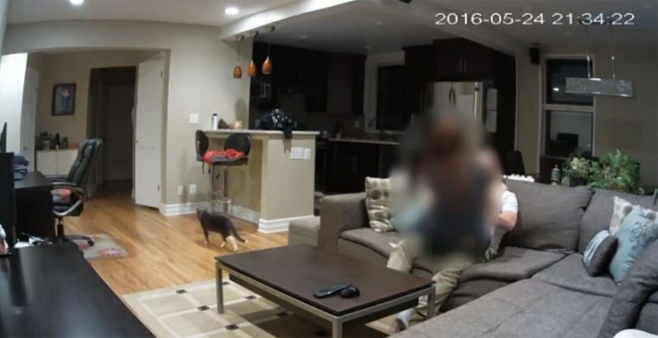 pet-sitter caught having nookie on camera