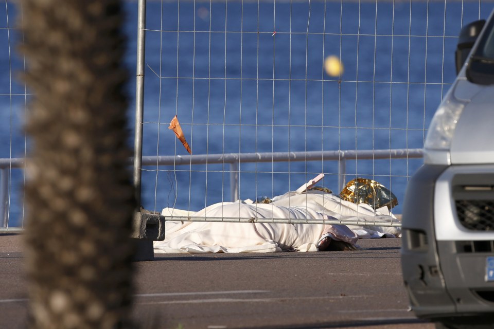 Nice terror attack