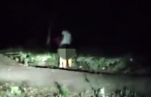 Moment Russian couple are caught having sex in the bushes after driver swerves off the road
