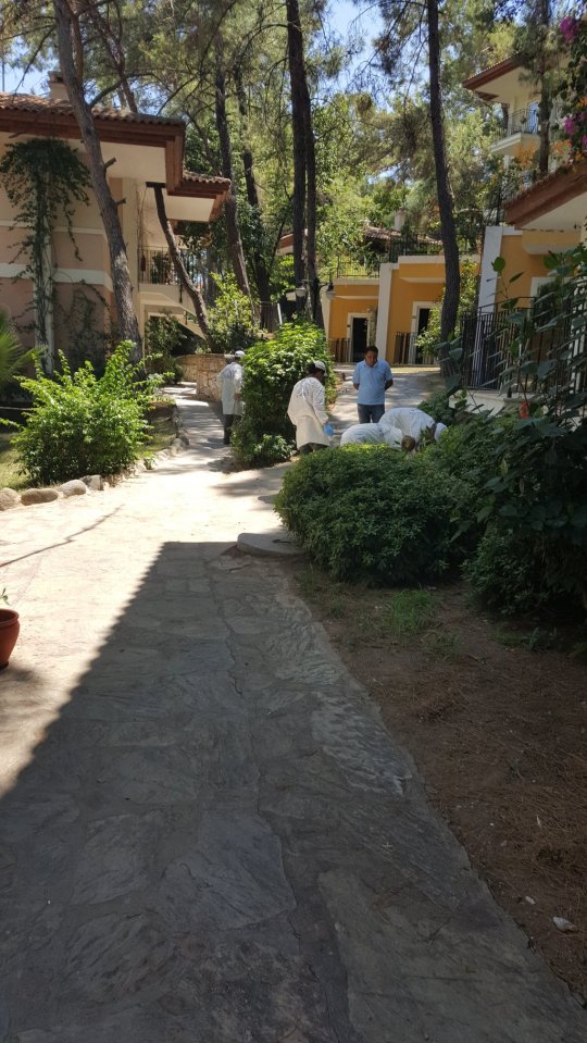 Investigators at the scene in Turkey
