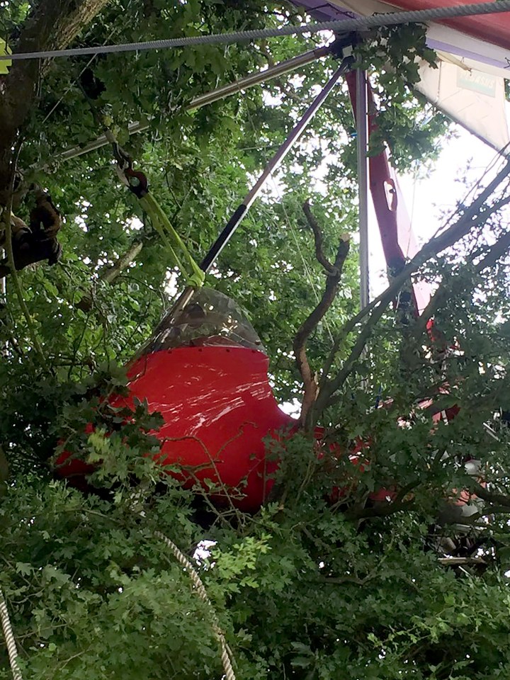 PENSIONER PLANE CRASH