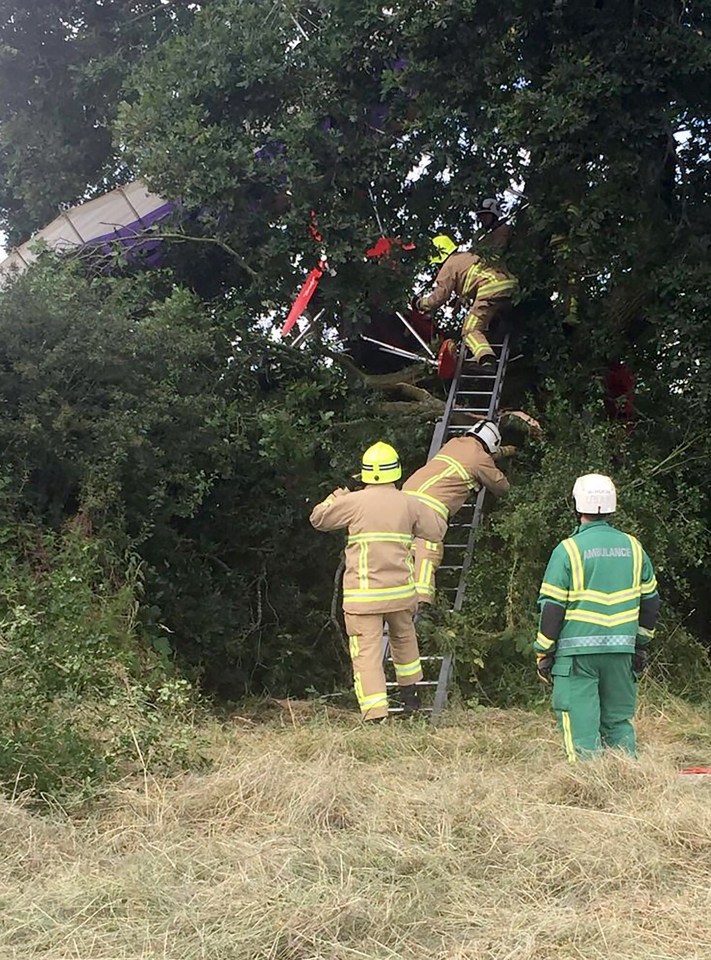 PENSIONER PLANE CRASH