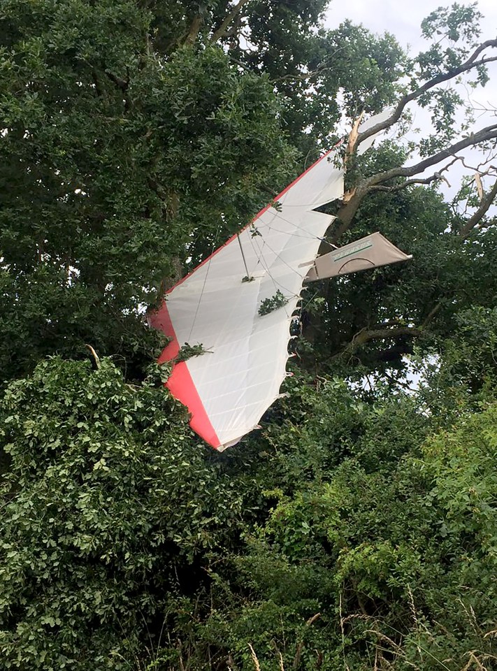 PENSIONER PLANE CRASH
