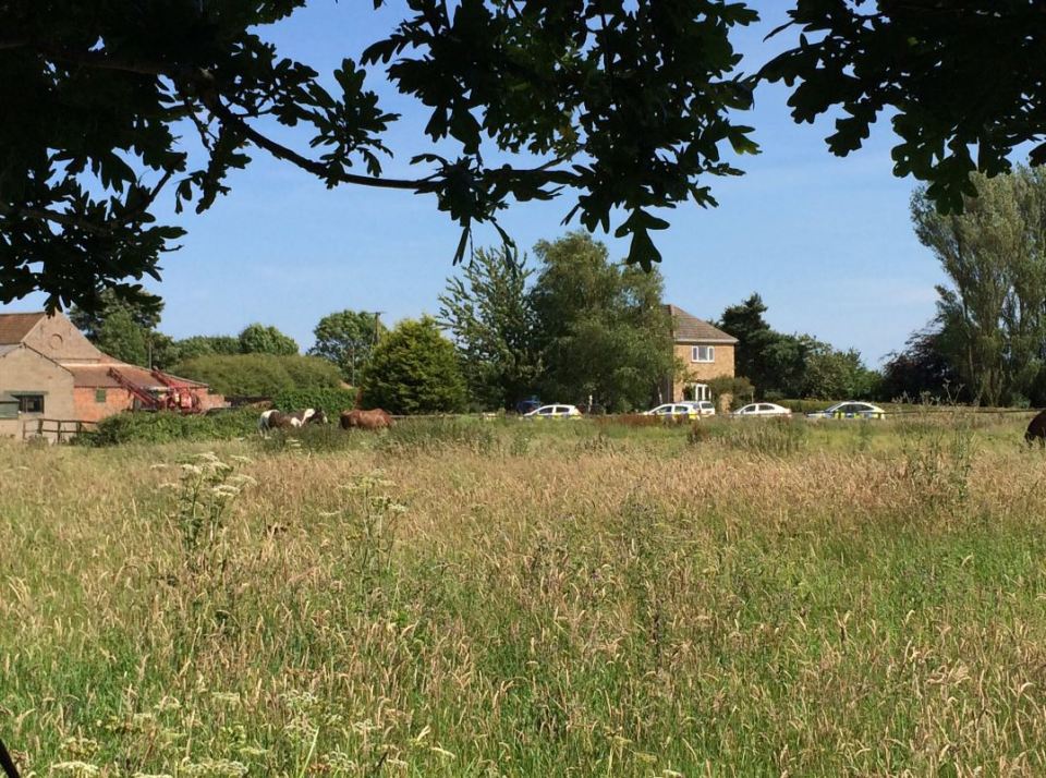 A 21-year-old man has been arrested on suspicion of murder