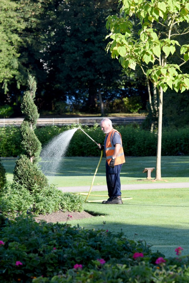 A gardener in Birmingham takes care of his plants as scorching summer heat finally hits the UK