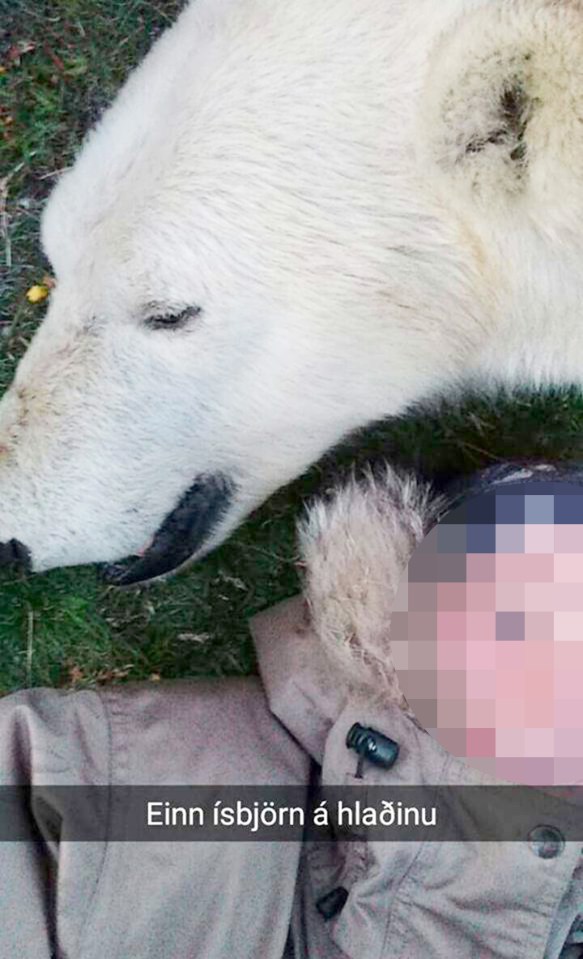 Karitas Gudrunardottir poses with the dead bear