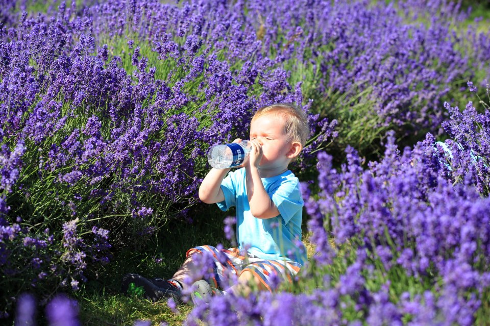 Although it might not break the record for the hottest July day, it will be the hottest day this year