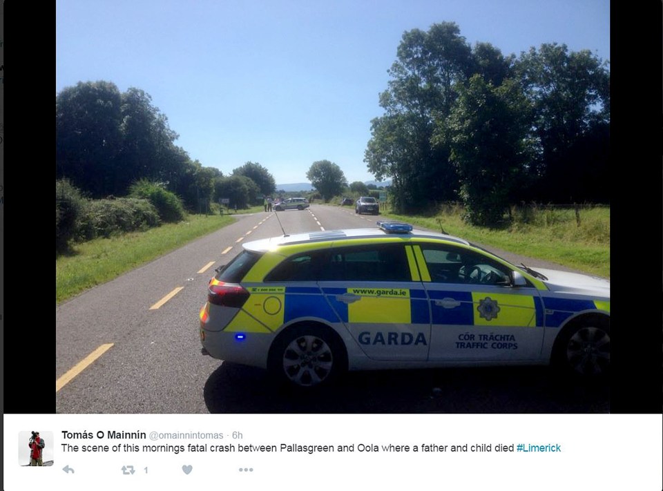 Probe gardai at scene after they arrived to find the bodies of toddler and his dad following head-on collision