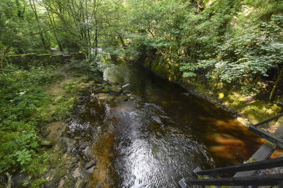 The tragic teen was said to have been taking a dip in shallow water when a strong undercurrent pulled him under