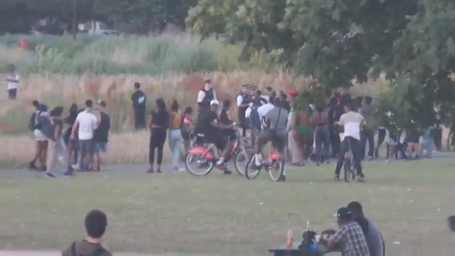 Burgess park