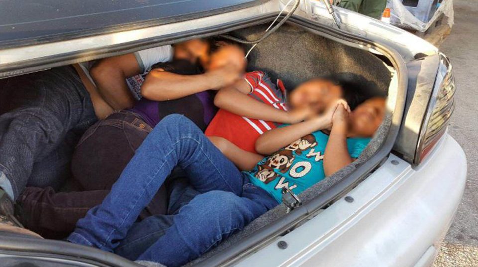 People even risked getting into the hot boot of a car in their increasingly desperate attempts