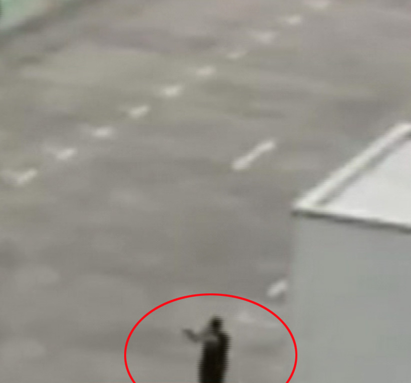 Munich shooting: Death reported in shopping centre