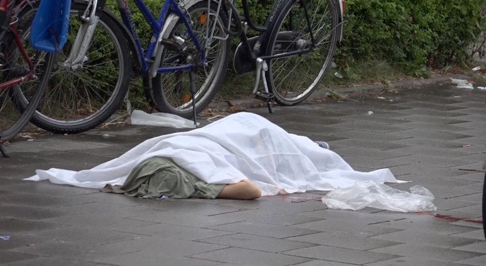 One of two bodies in the street a long from the McDonald's after a shooter struck