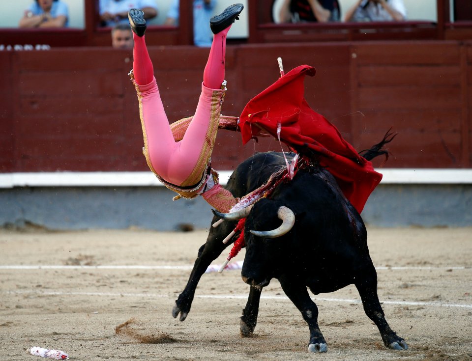 Pablo Belando tried to walk out of Madrid’s famous Las Ventas bullring unaided after being hurt but ended up having to be hoisted in the air by colleagues and rushed to medics