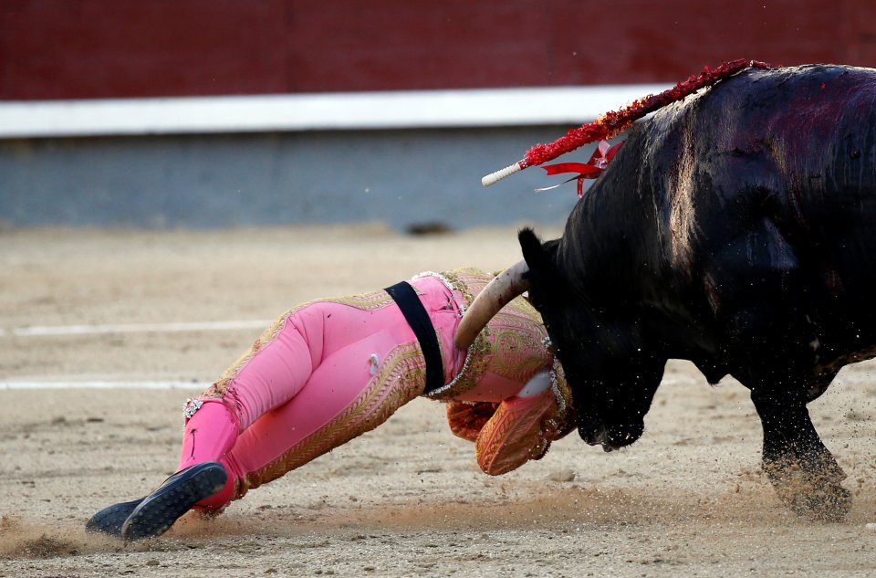 The matador was badly gored and had an hour long emergency operation once he got out of the ring