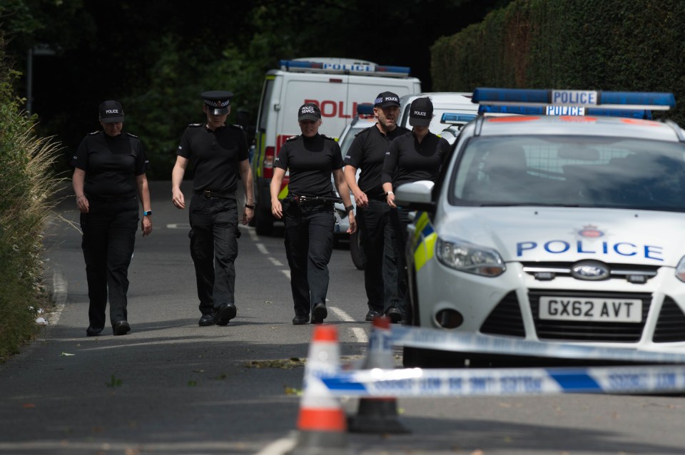 Drains and sewers were also inspected in a desperate hunt for the deadly weapon