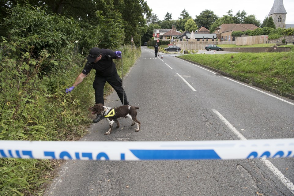 Cops are appealing for more witnesses as they try to solve the murder