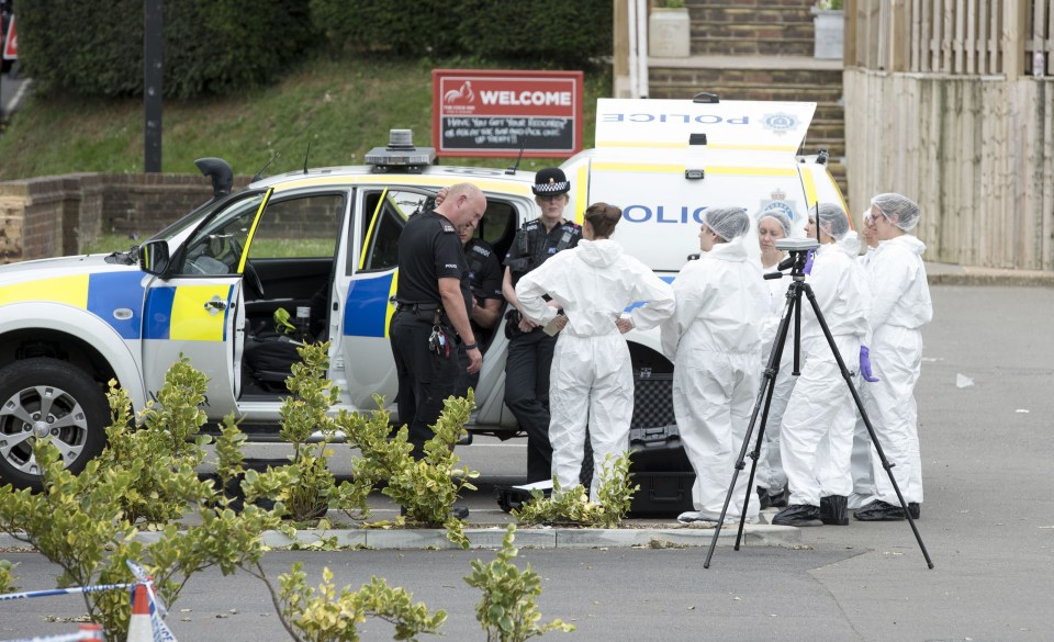 Cops are investigating after two people were shot at the party in Headley, Surrey