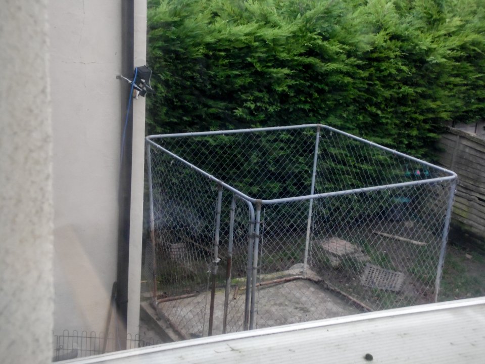 The dogs were kept cages in the couples garden but were let out for a couple of hours everyday