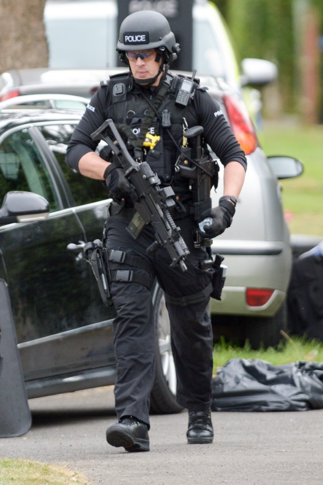 Police were in a tense standoff with an armed man after a suspected drugs raid went wrong in a leafy suburban street in Smallfield in Surrey