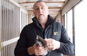 Pigeon race-fixer branded 'worse than the Russians' by real winner of sport's Grand National