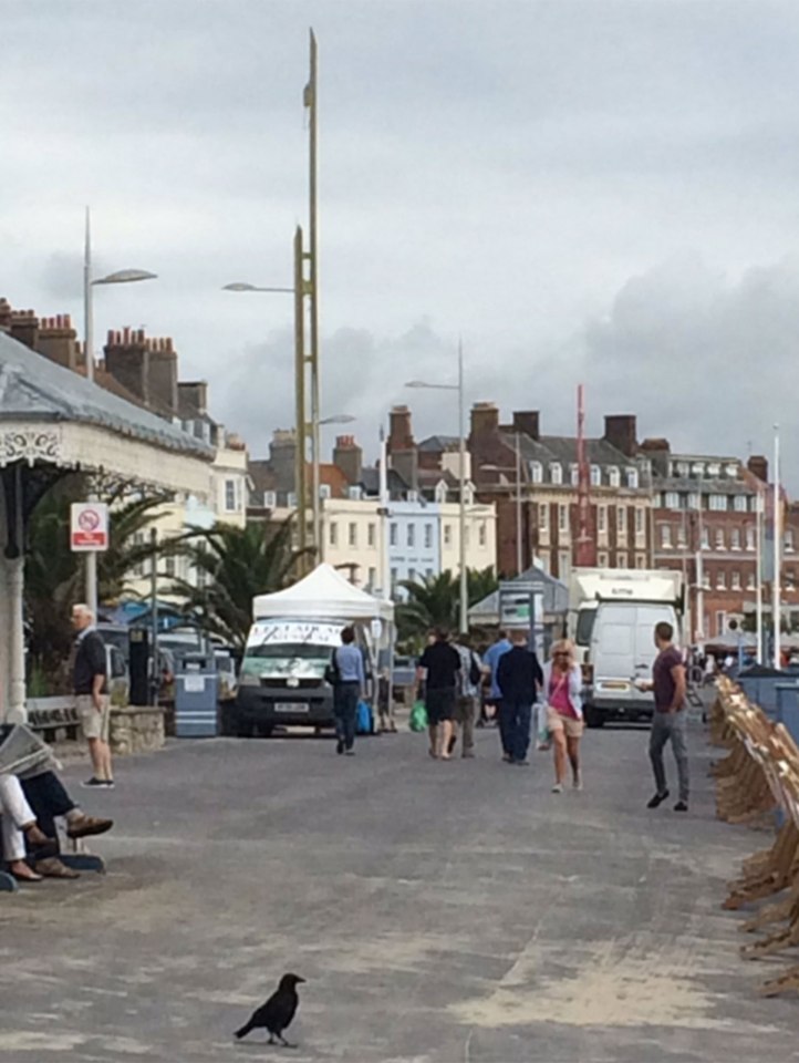 David Cameron toured the town on the Dorset Coast with a few pals