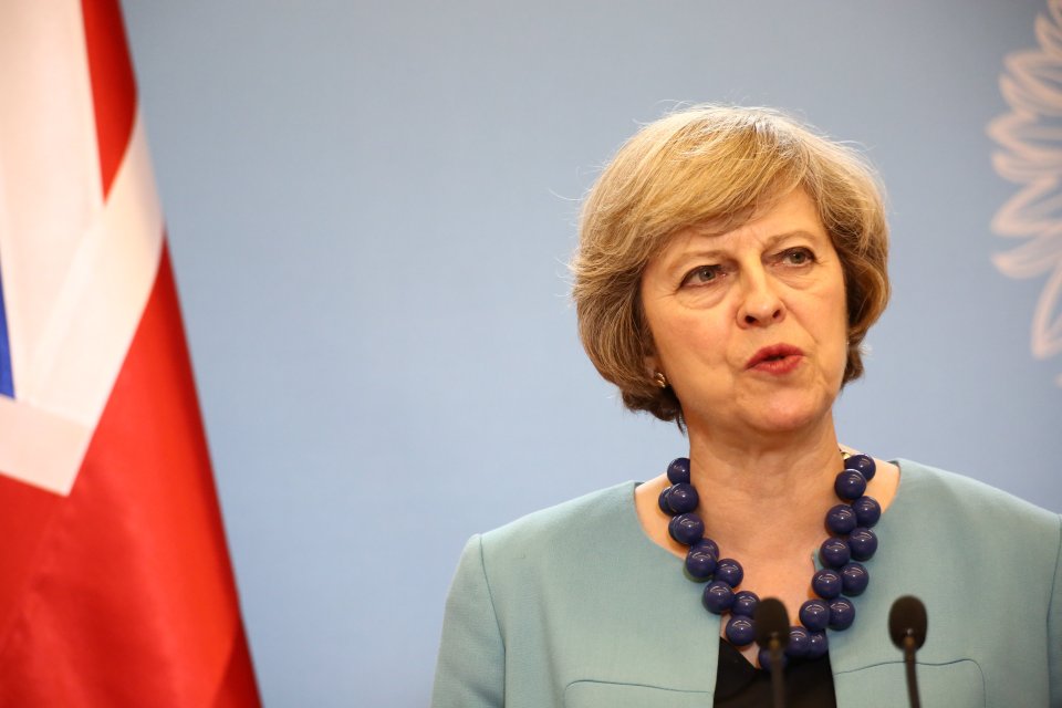 Theresa May's decision to review the Hinkley Point project comes just months after Mr Timothy raised concerns over the UK's willingness to roll out the red carpet to China
