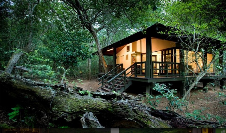 This cosy forest lodge makes for the perfect place to unwind after a day of exploring the unforgettable surroundings 
