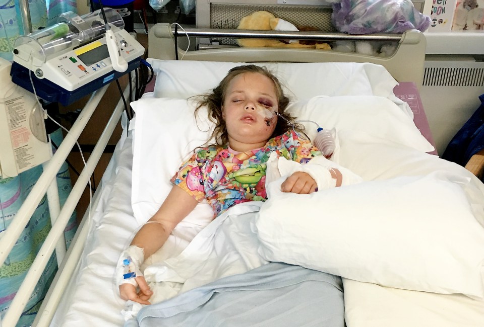 Faith's jaw, left eye socket and left cheek sustained multiple fractures and lacerations after the freak accident