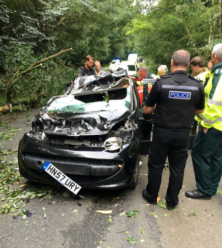 The car was left crushed after the branch snapped and smashed through the car