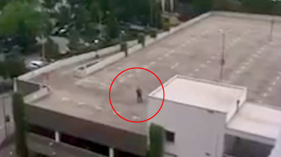 Gunman seems to scream that he is German from rooftop of Munich shopping centre