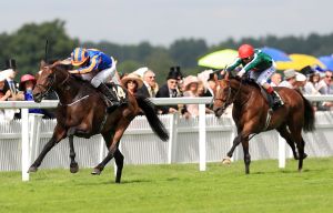 Order Of St George will head to the Arc unless conditions dramatically change