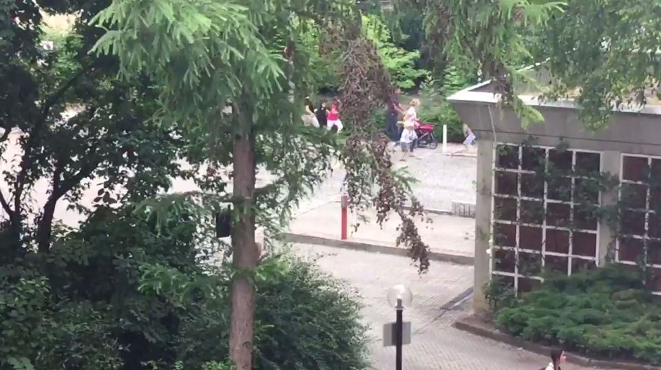 Video footage showed people fleeing from the scene with screaming audible in the background