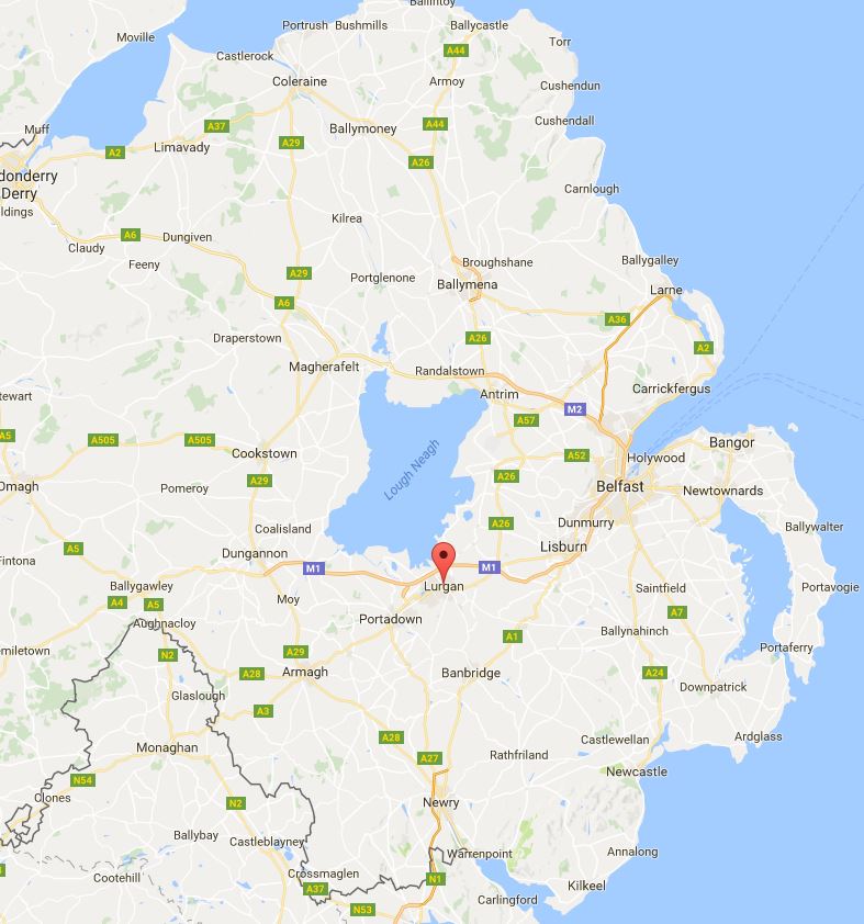 The hide was discovered in Lurgan, County Armagh