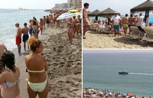 Terrified Brits flee water and beach is closed after swimmers say they saw shark in Costa del Sol