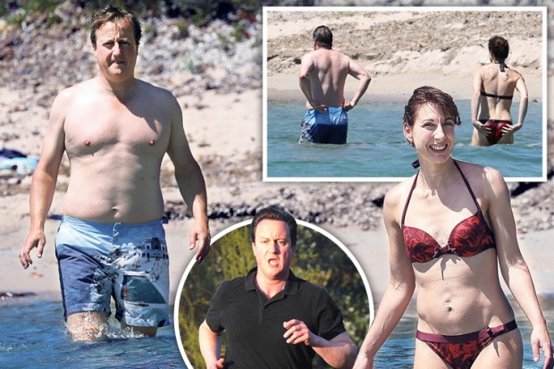 composite cameron