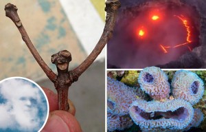 Smile and the world smiles back at you... after lava grin, we look at happiest sights found in nature